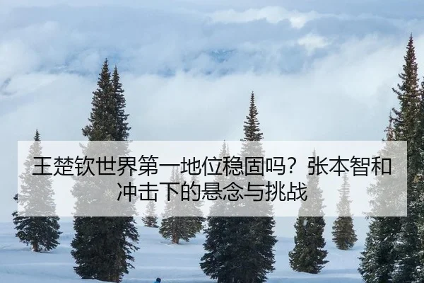 wang-chu-qin-shi-jie-di-yi-di-wei-wen-gu-ma-zhang-ben-zhi-he-chong-ji-xia-de-xuan-nian-yu-tiao-zhan-3-527.jpg