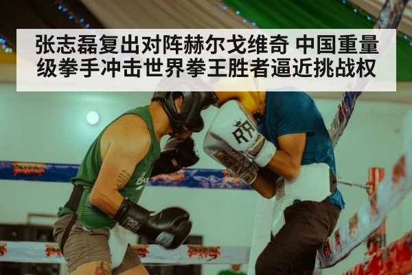 张志磊复出对阵赫尔戈维奇 中国重量级拳手冲击世界拳王胜者逼近挑战权